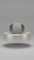 Brushed Stainless Steel Signet Ring